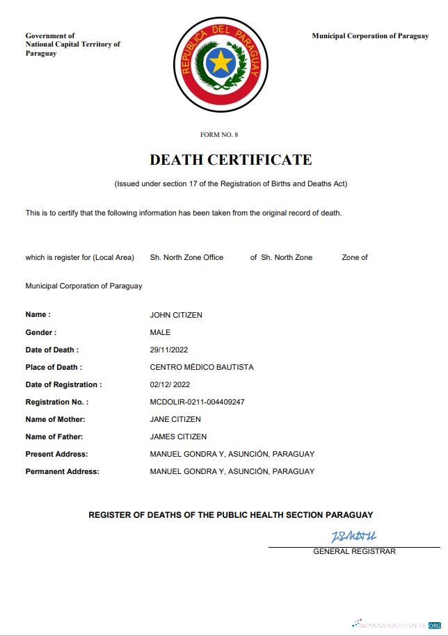 Download Paraguay death certificate Word and PDF template Photoshop template